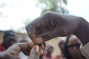 Handling a seed of an indigenous fruit tree