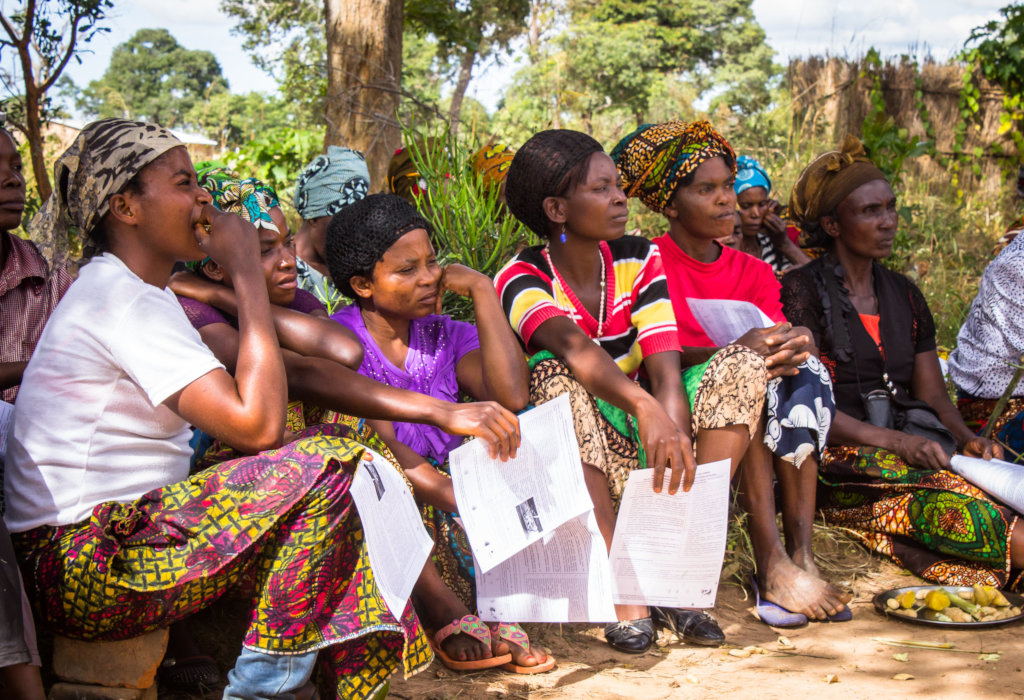 Fruit trees for micronutrient-rich diets in Zambia