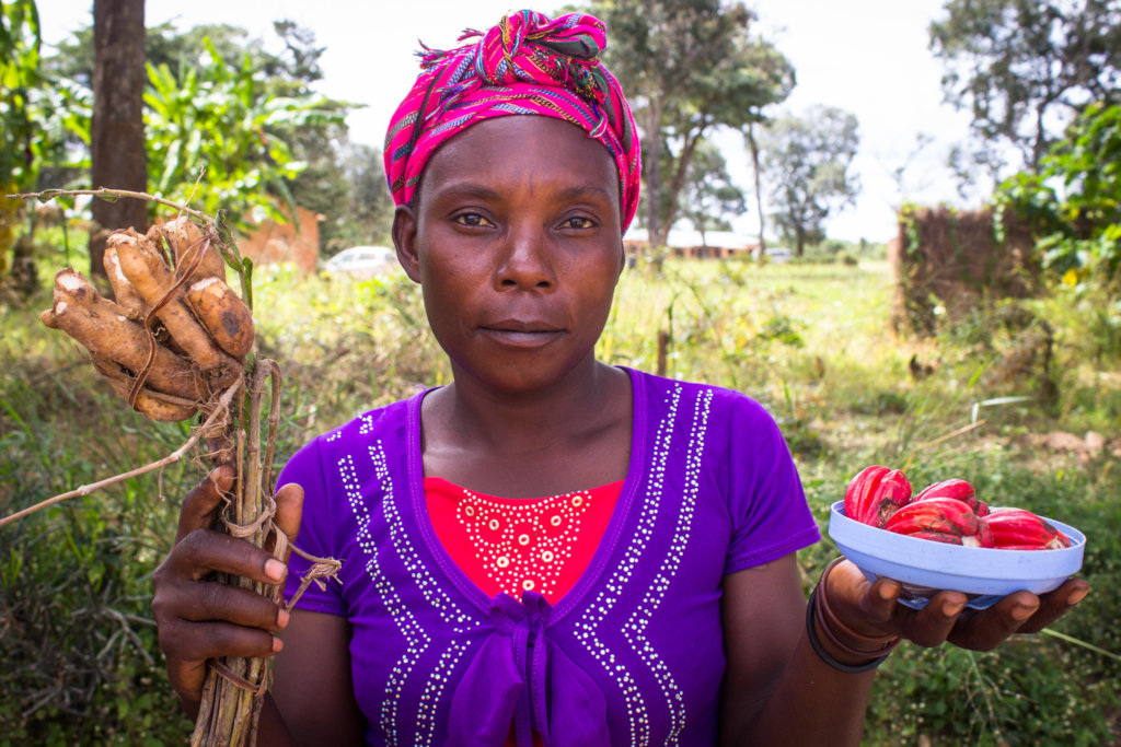 Fruit trees for micronutrient-rich diets in Zambia