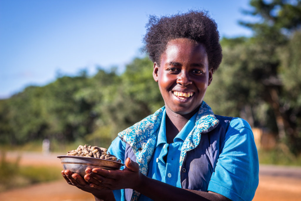 Fruit trees for micronutrient-rich diets in Zambia