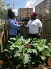 Millicent's cone garden set up in July 2021