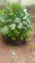 Set up in Aug 2021 in Uasin Gichu County