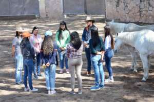 "Empowering your Herd" workshop