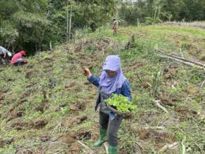 Continue with assistance