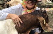 Goat for Women's Nutrition and Income