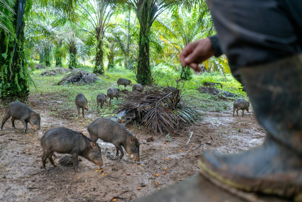 Protect endangered biodiversity & 100 farmer lives