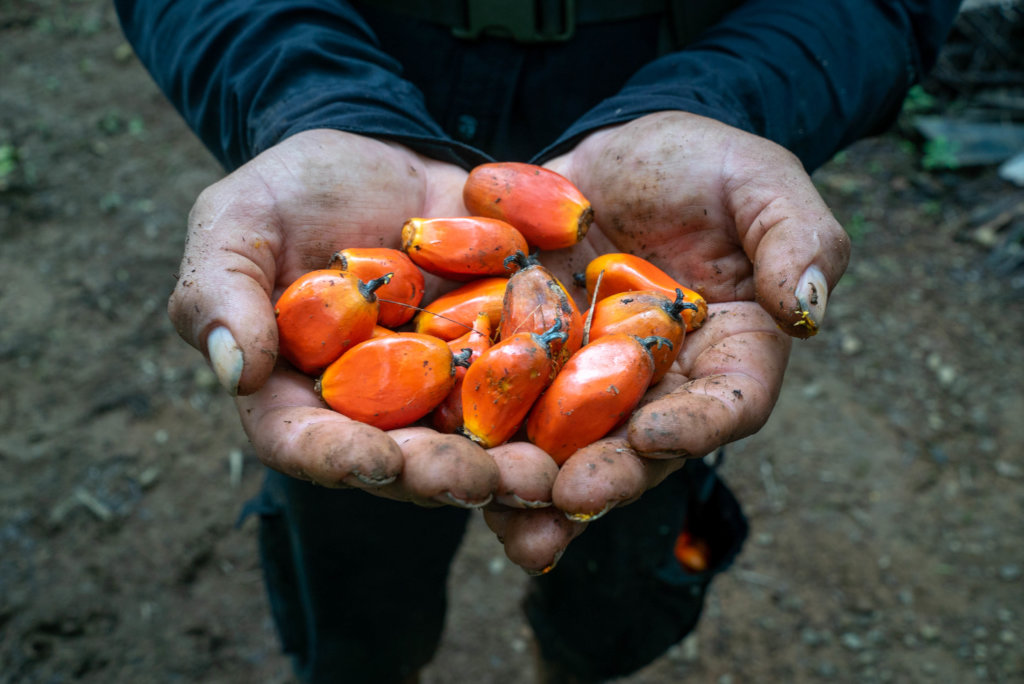 Protect endangered biodiversity & 100 farmer lives