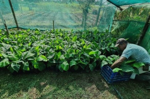 Protect endangered biodiversity & 100 farmer lives