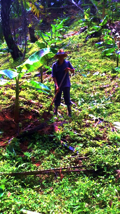 Protect endangered biodiversity & 100 farmer lives