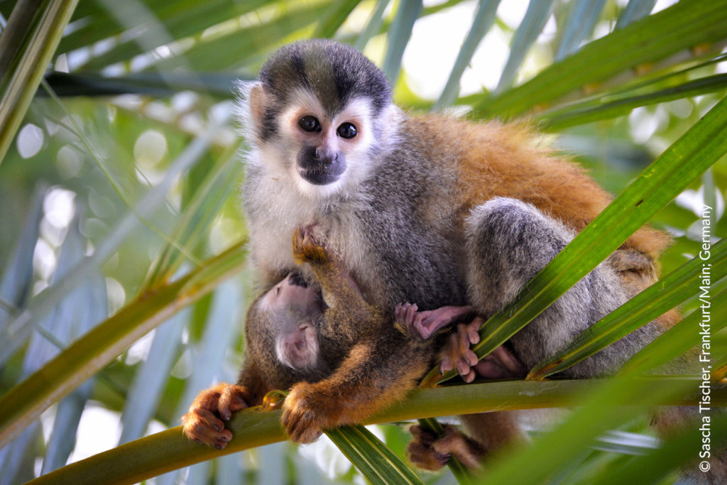 Protect endangered biodiversity & 100 farmer lives