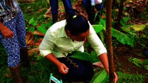 Reforestation training