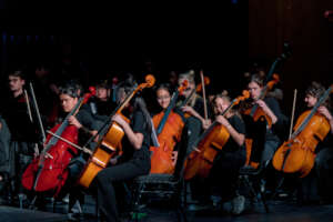 Crossing Paths- Concert Series (Larkana concert)