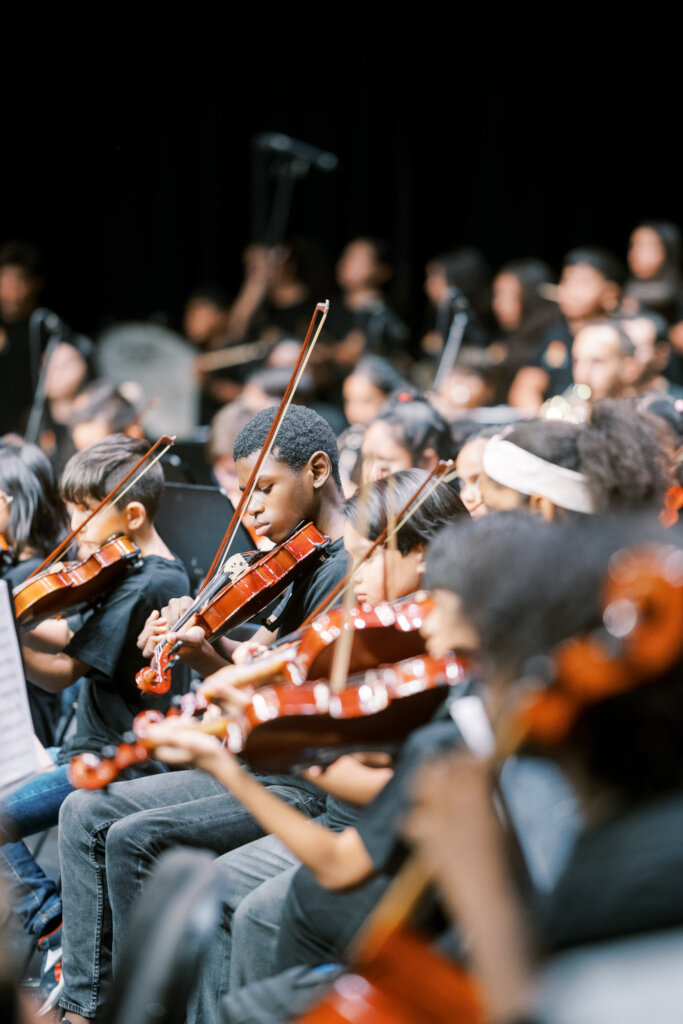 Violas in action