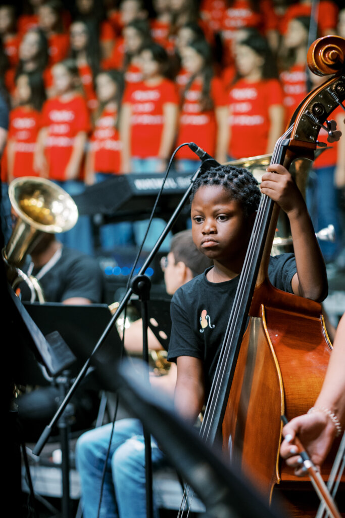Double bass in concert