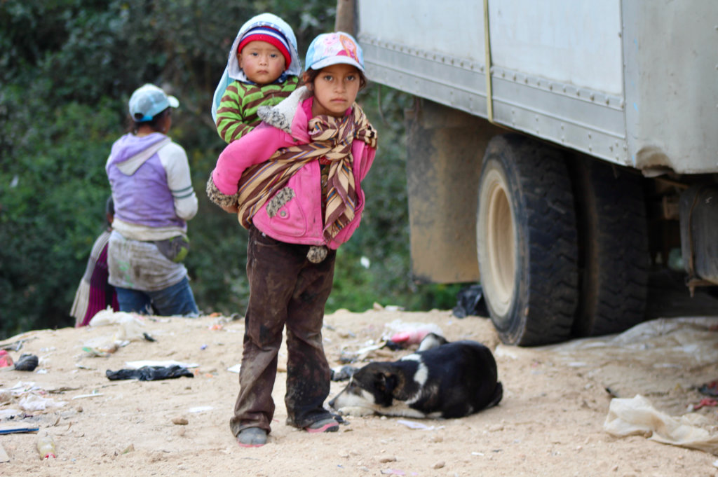 Brighter future for 275 dogs of Guatemalan dump