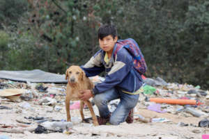 Kid working at dumpster, accompanied by his dog