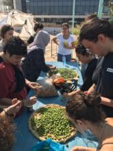 Olives Fermentation Workshop