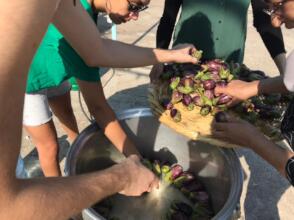 Fermentation Workshop