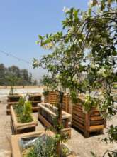 Views from garden