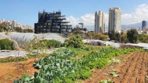 Neighborhood Farming Community