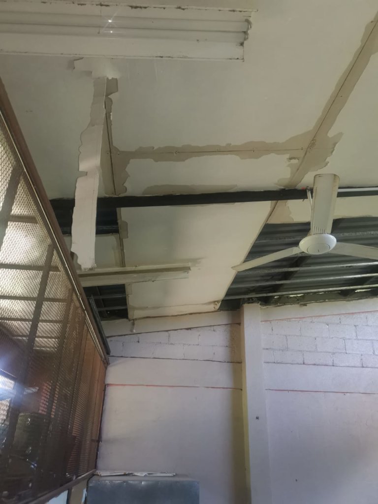 Sowing Solidarity - Colegio Playas del Coco