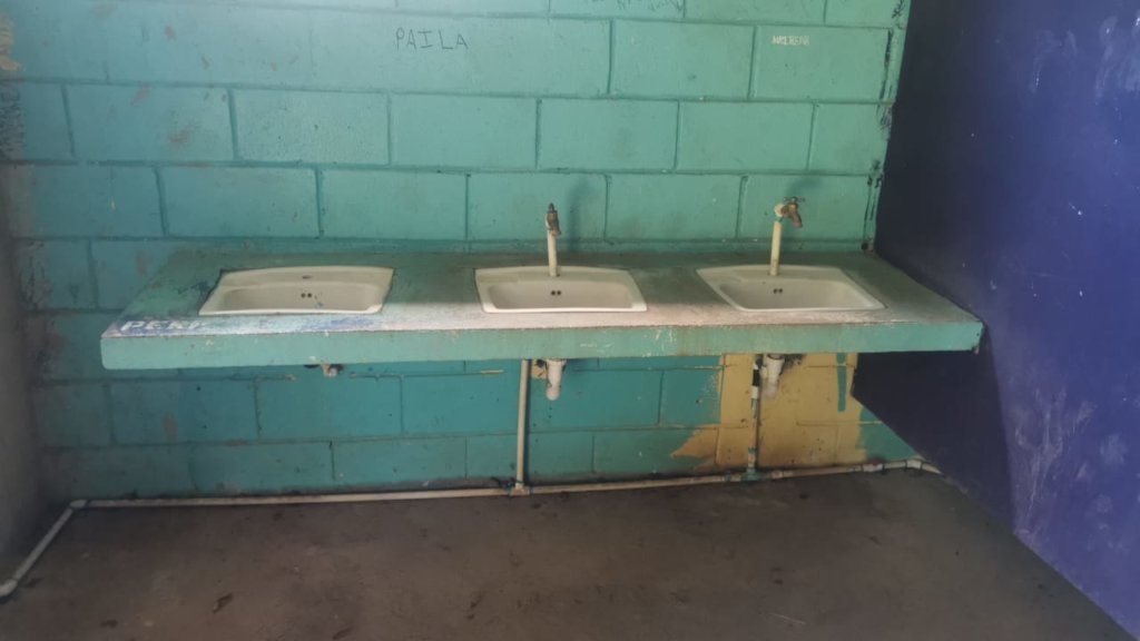 Sowing Solidarity - Colegio Playas del Coco