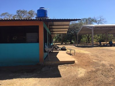 Sowing Solidarity - Colegio Playas del Coco