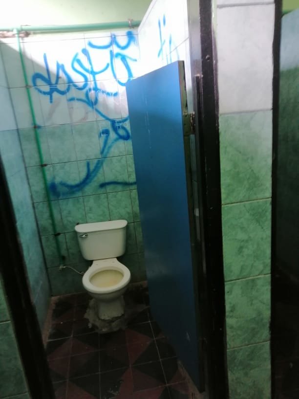 Sowing Solidarity - Instituto Guanacaste