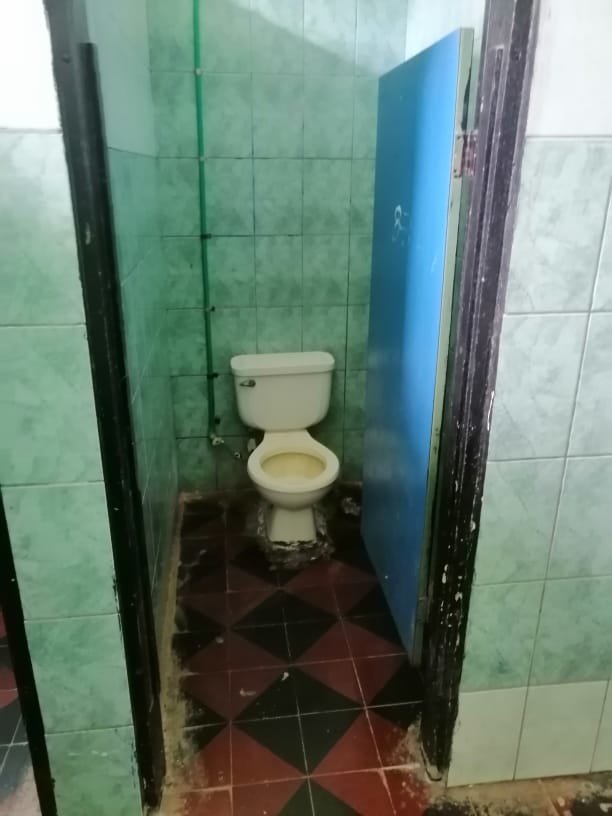 Sowing Solidarity - Instituto Guanacaste