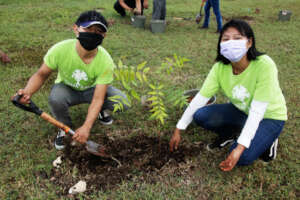 We are planting trees, and we love to do it.