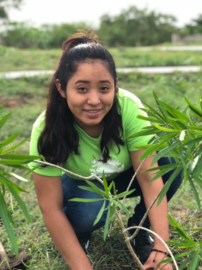 Support Foster to plant 4000 trees in Merida!