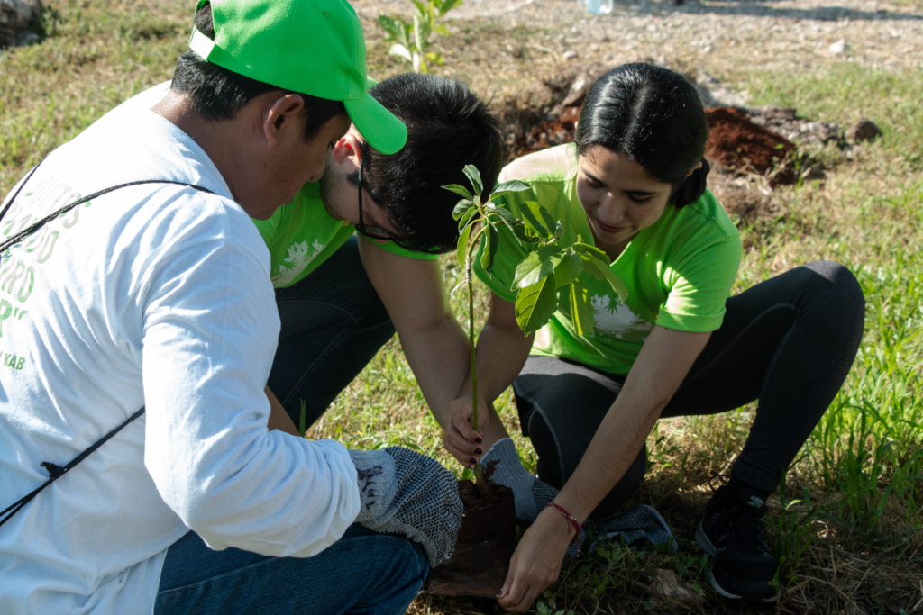 Support Foster to plant 4000 trees in Merida!