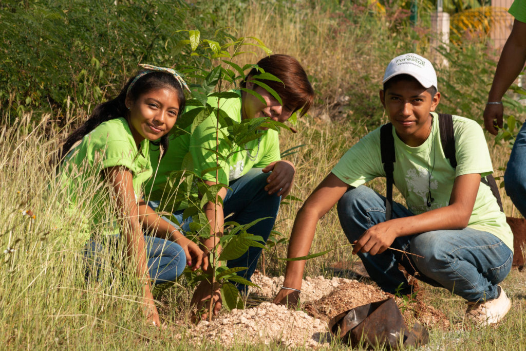 Support Foster to plant 4000 trees in Merida!