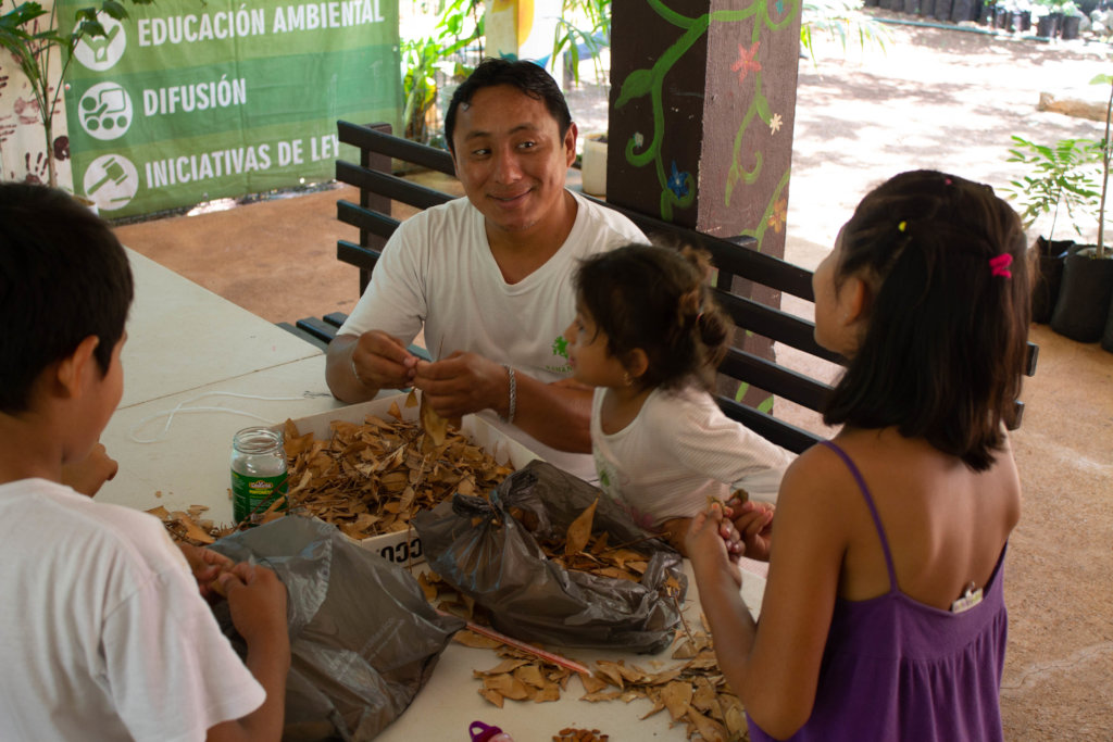 Support Foster to plant 4000 trees in Merida!