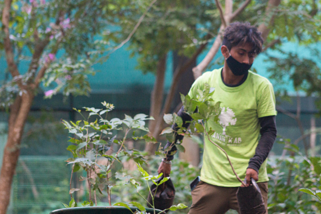 Support Foster to plant 4000 trees in Merida!