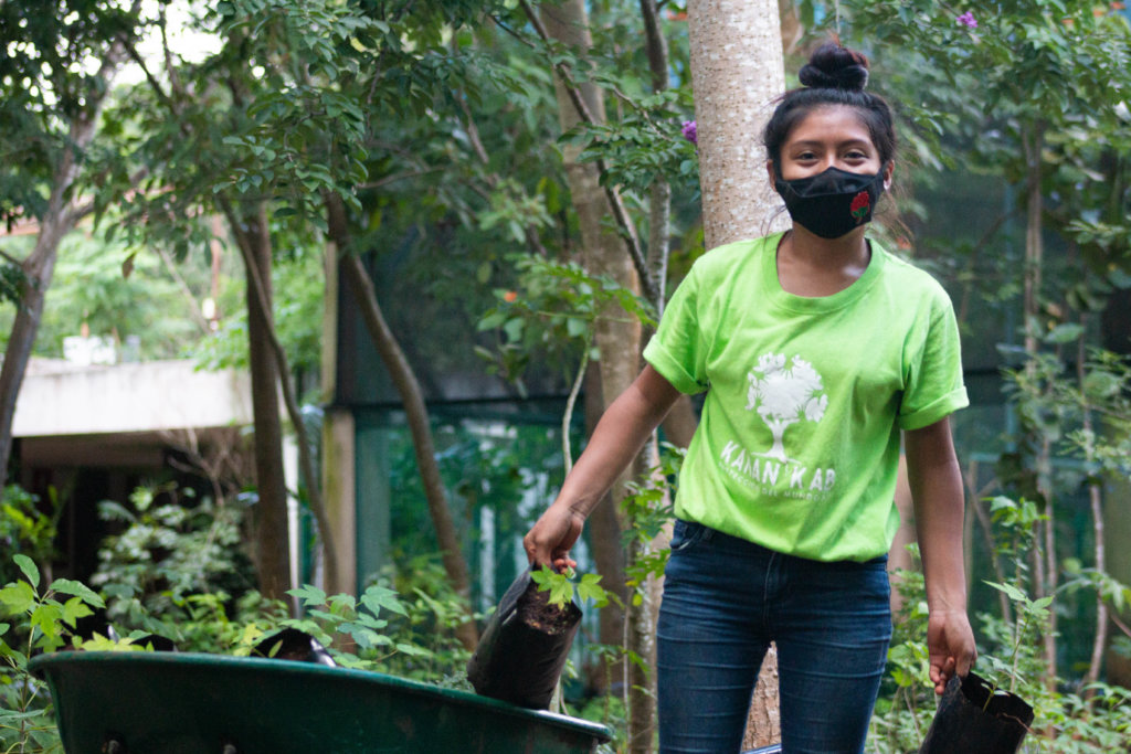 Support Foster to plant 4000 trees in Merida!