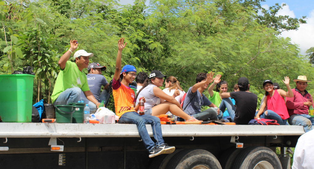 Support Foster to plant 4000 trees in Merida!