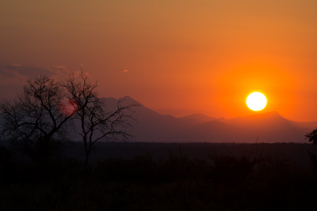 Help Tackle the Conservation and Climate Crisis