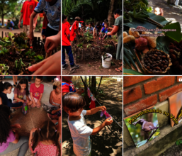 Ecological habits with children