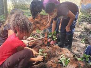 Environmental education: the vegetable garden