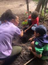 Cultivation