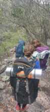 Young Environmental Monitors