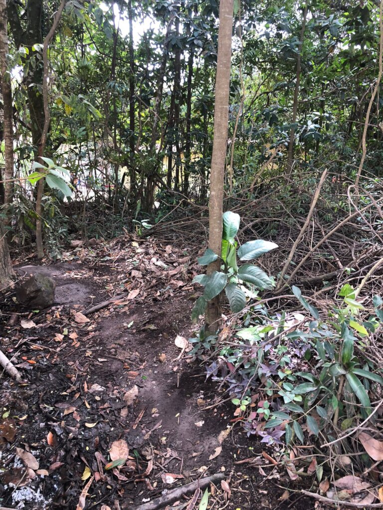 Community cleanup effort to remove waste from the
