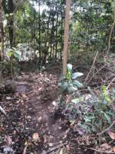 Community cleanup effort to remove waste from the