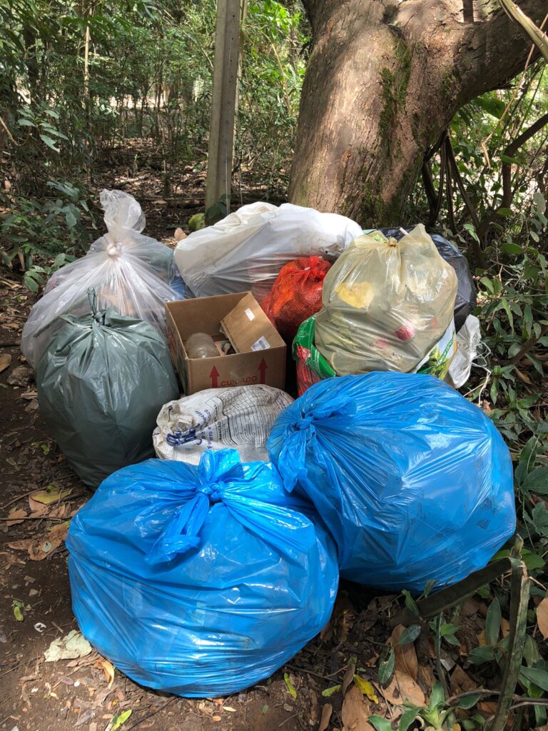 Community cleanup effort to remove waste from the