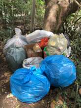Community cleanup effort to remove waste from the
