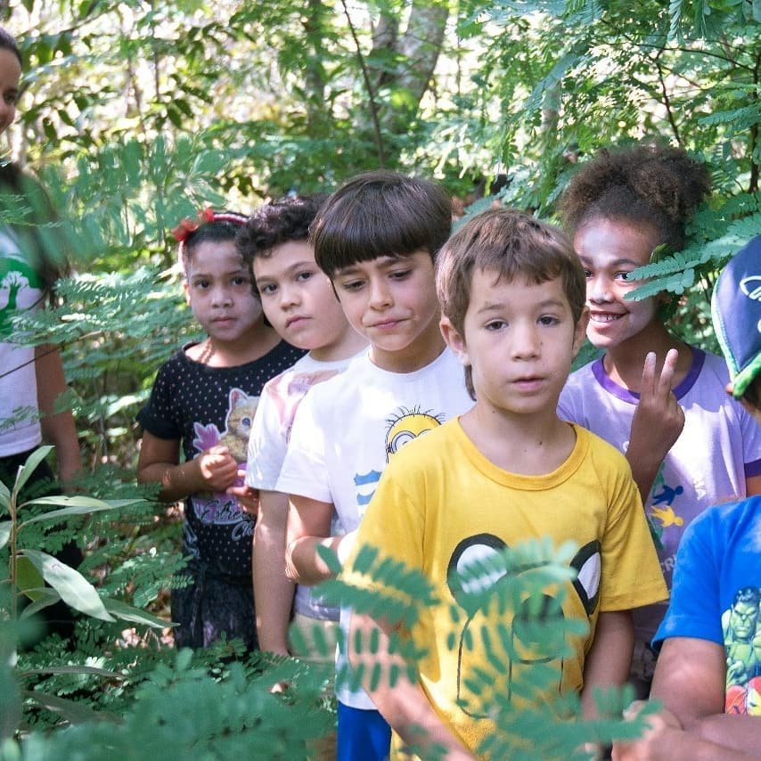 Sponsor Environmental Education of Kids in Brazil