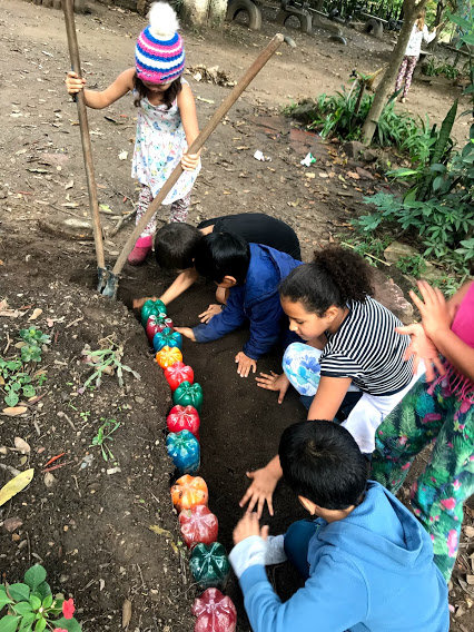 Sponsor Environmental Education of Kids in Brazil