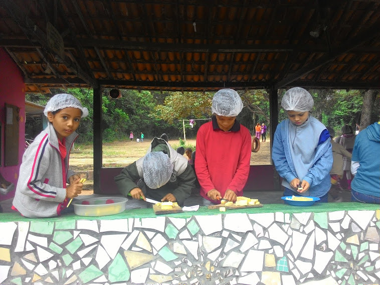 Sponsor Environmental Education of Kids in Brazil