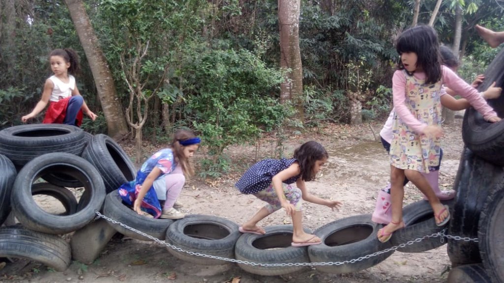 Sponsor Environmental Education of Kids in Brazil